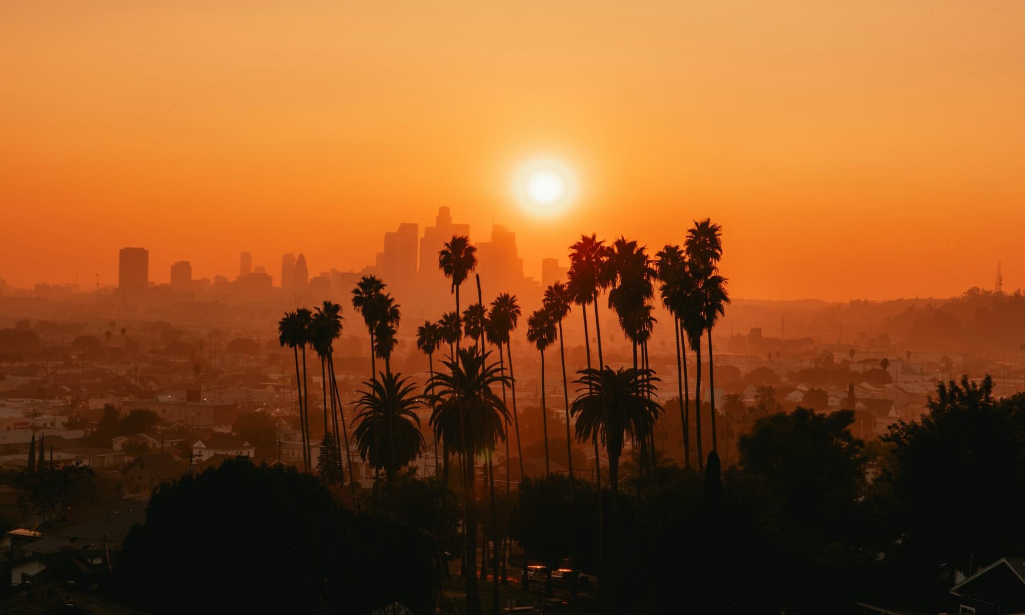 Palm trees silhouetted against a golden Los Angeles sunset over the skyline