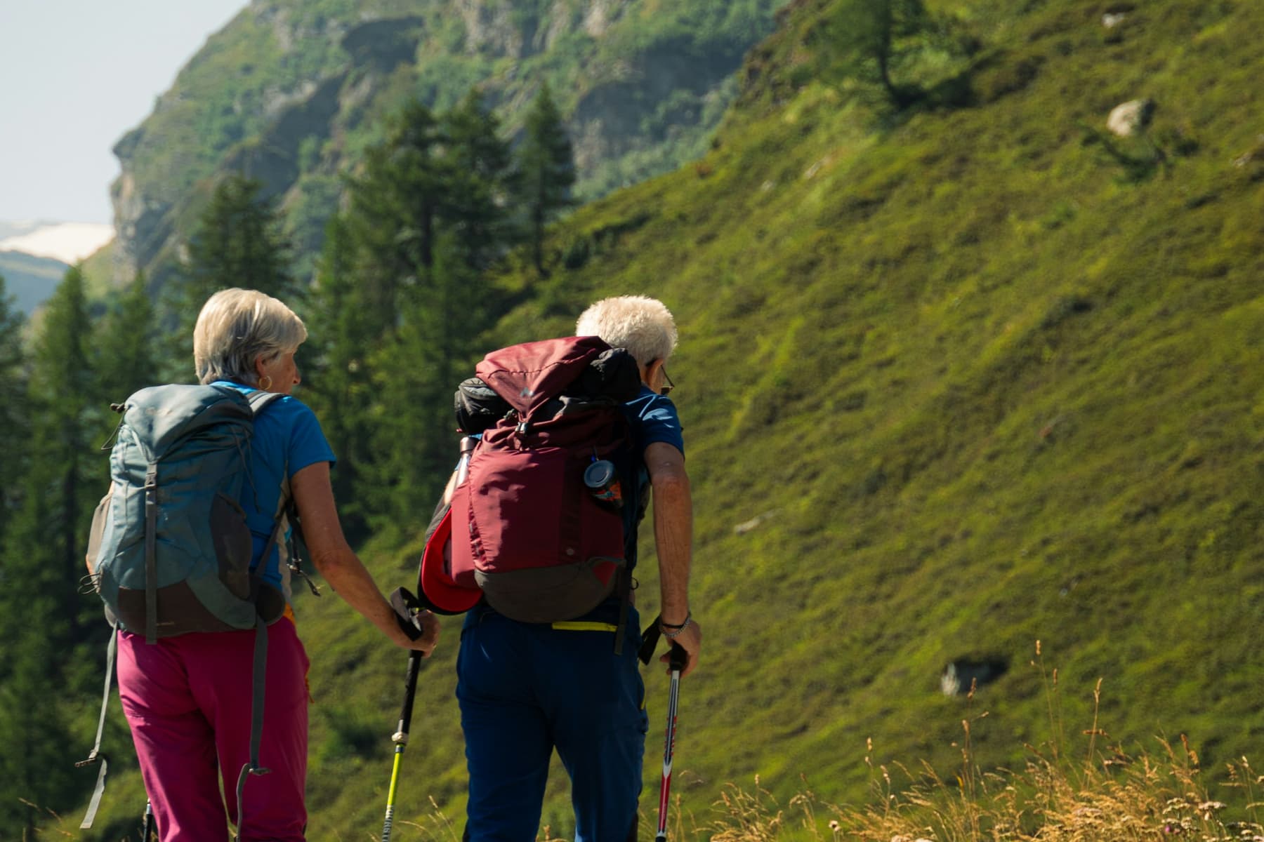 Two older hikers with trekking poles on a green mountain trail